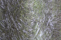 Bolton Wood Lane fibreglass roof work